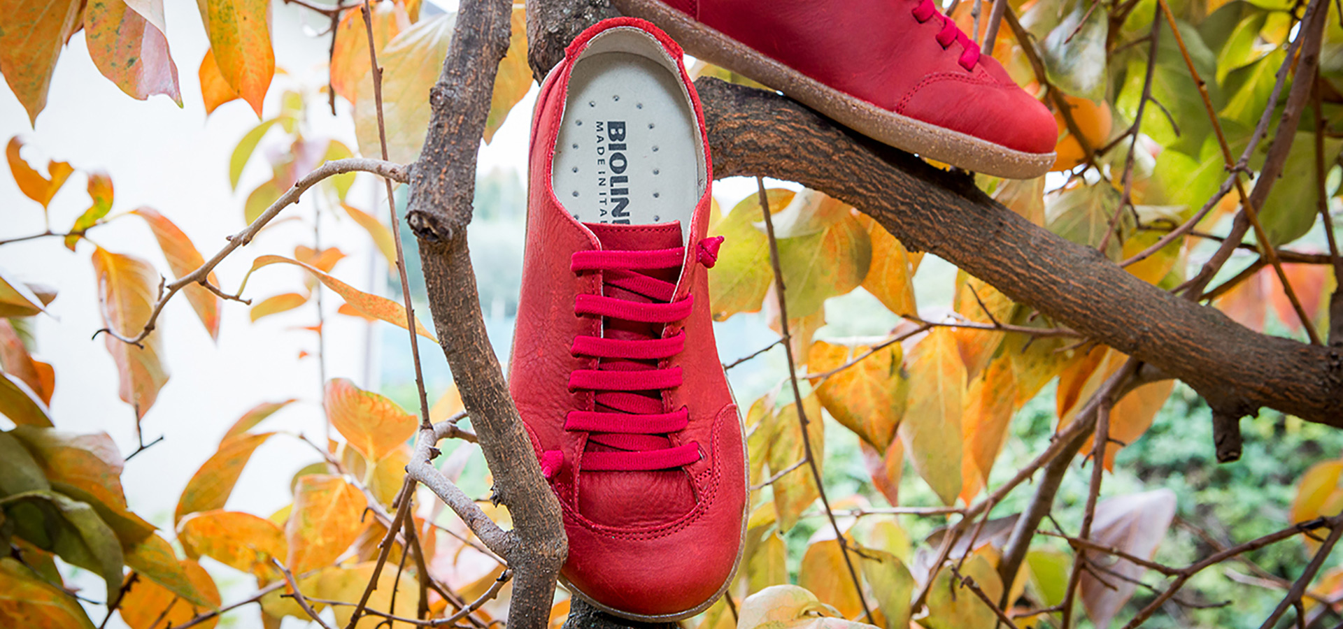 Scarpe rosse Bioline appese a un ramo con foglie autunnali.