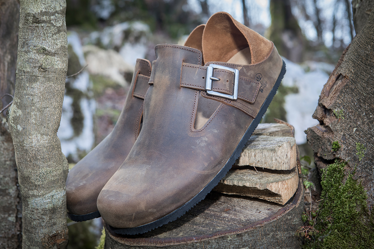 Scarpe in pelle marrone con fibbia esposte su tronchi nel bosco.