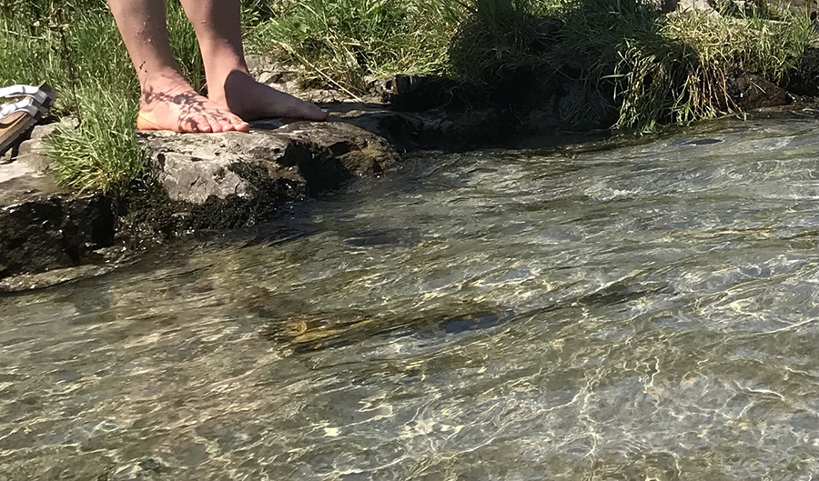 Piedi nudi sulla riva di un ruscello limpido in mezzo al verde.