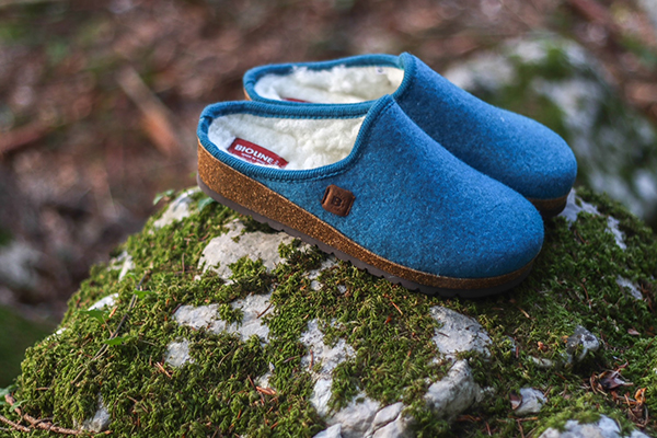 Pantofole blu su roccia muschiosa in ambiente naturale