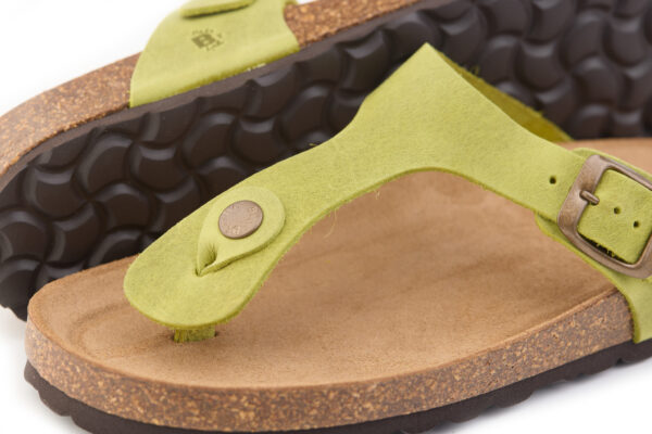 990 Ingrassato Aloe - immagine 3