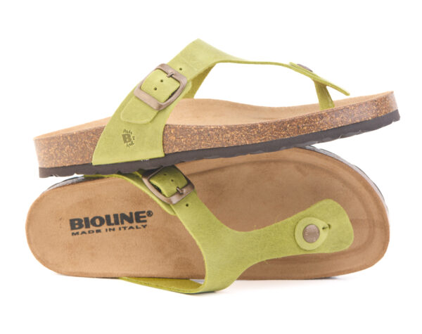 990 Ingrassato Aloe - immagine 6