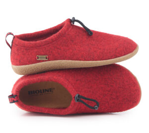 3004 Kappa Rosso
