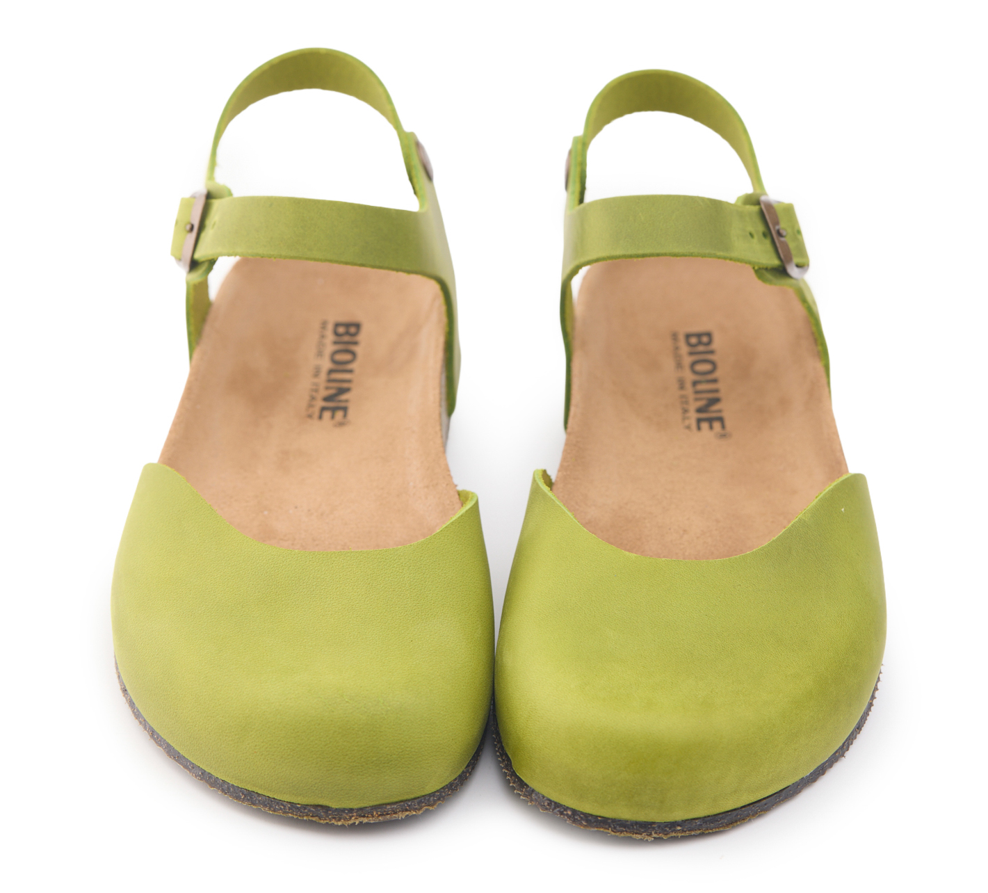 HOLLY Ingrassato Aloe - immagine 4