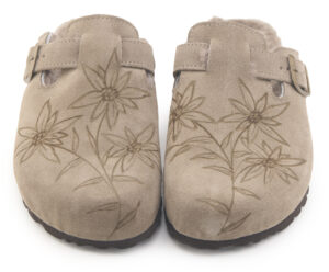 1905 Almond Pirografia Stelle Alpine