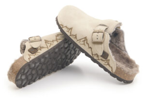 1905 Sabbia Pirografia Montagne